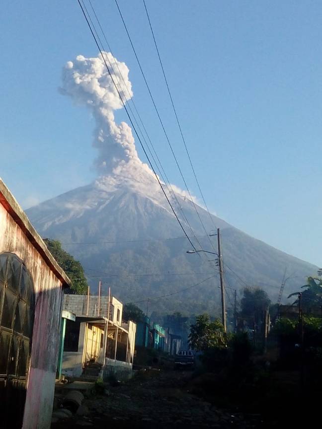 WhatsApp Image 2019-02-01 at 6.48.35 AM